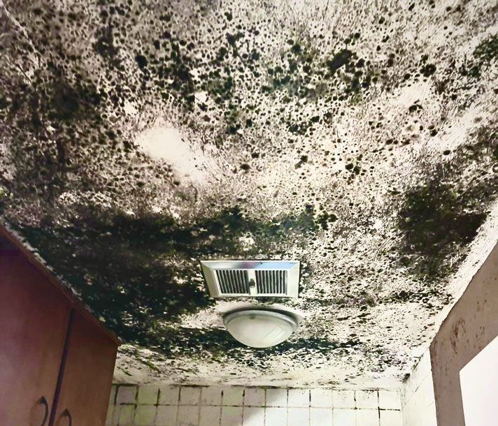 Black mold spreading across a bathroom ceiling around the exhaust fan